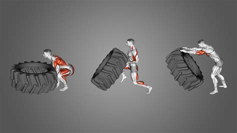 Tire Flip Benefits Muscles Worked And More Inspire Us