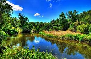 River, Nature, Sky, Forest, Wallpapers, Hd, Desktop, And