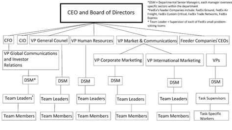 Common Organizational Structures Boundless Management