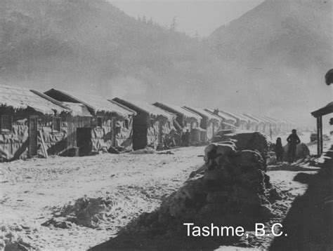 the japanese canadian internment japanese internment