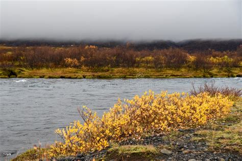 Landscape In Autumn Of Iceland Stock Photo Image Of Scene Water