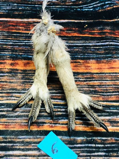 2 Grouse Feet Art Animal Mount Repair Witchcraft Voodoo Art Etsy