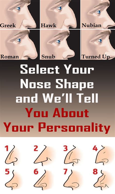 Select Your Nose Shape And Well Tell You About Your Personality Nose