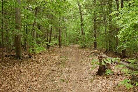 Chebacco Woods Essex County Trail Association