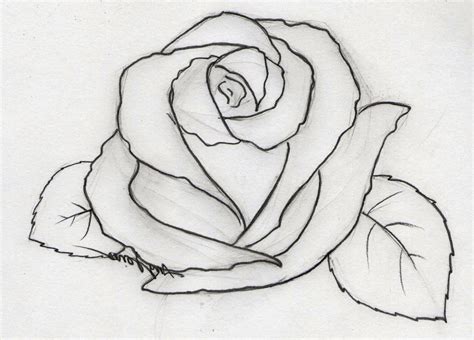 Pencil Rose Drawing Simple Easy Drawing Ideas