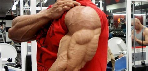 Meet Your Arm Muscles Triceps Brachii Bodybuilding Wizard