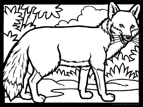 Here you can explore hq cute fox transparent illustrations, icons and clipart with filter setting like size, type, color etc. Fox 01 Coloring Page | Coloring Page Central