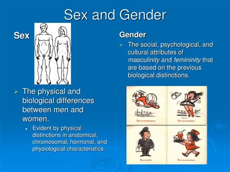 Ppt Gender Stratification Chapter 11 Powerpoint Presentation Free