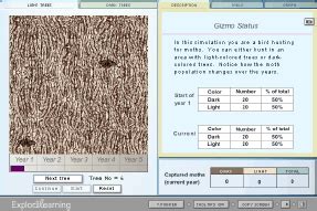 Student exploration natural selection gizmo answer key pdf. Gizmo of the Week: Natural Selection Gizmo ...