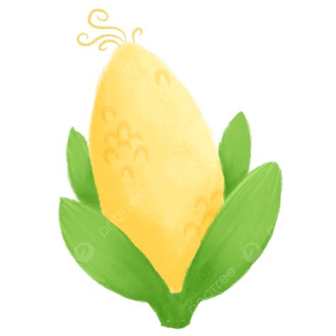 Yellow Corn Illustration Corn Vegetables Yellow Png Transparent