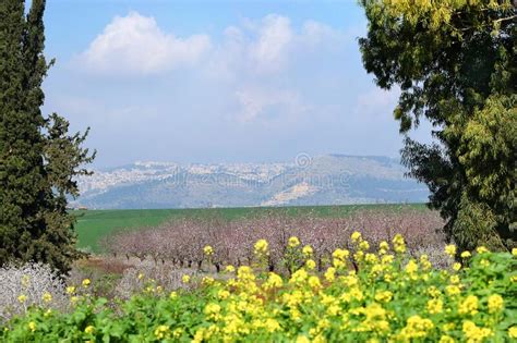 View Of The Jezreel Valley In Winter Day From Mount Carmel Israel