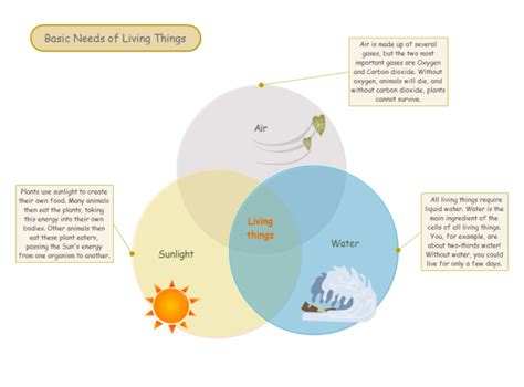 Living Things Needs Free Living Things Needs Templates