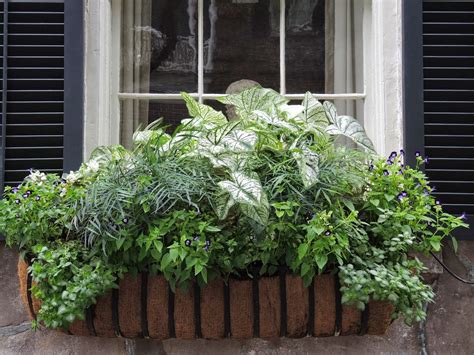 Jll Design Taking A Stroll Window Boxes