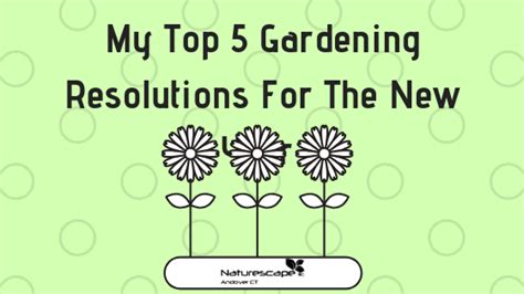 My Top 5 Gardening Resolutions For The New Year Naturescape