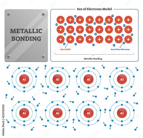 Stockvector Metallic Bonding Vector Illustration Labeled Metal Ions And Electrons Sea Adobe