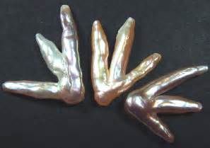 Chicken Feet Keshi Pearls High Luster 42cts Pf372