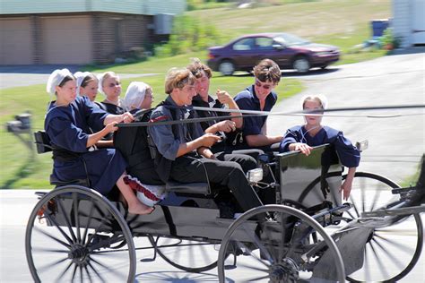 Fascinating Facts You Never Knew About The Amish Herald Weekly