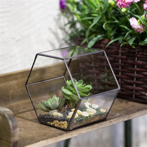 Handmade Thick Geometric Hexagon Glass Terrarium For Succulent Moss Airplants Ncypgarden