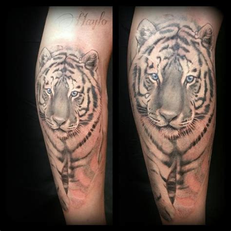 Lucky Bamboo Tattoo Tattoos Haylo Realistic Black And Gray Tiger