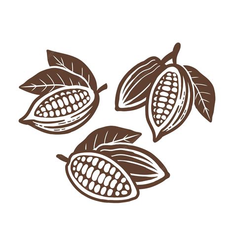 Premium Vector Cocoa Beans Icon Set Of Vector Drawings