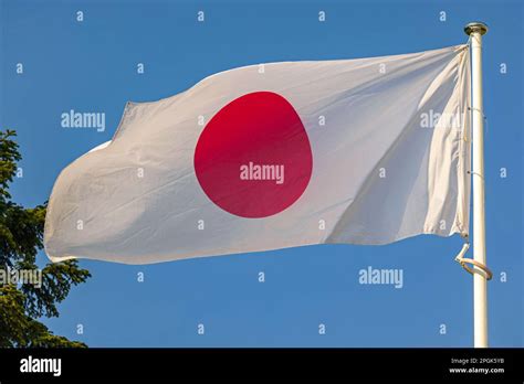 Japan National Symbol Hi Res Stock Photography And Images Alamy