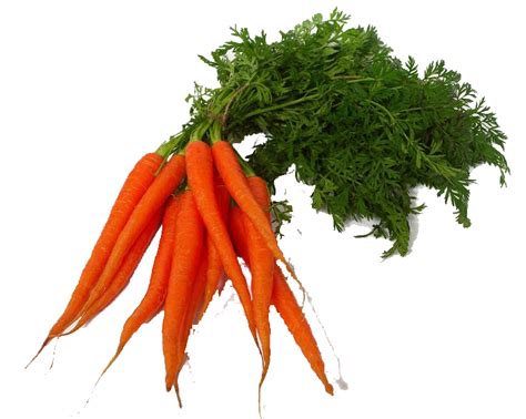 Food clipart carrot, Food carrot Transparent FREE for ...