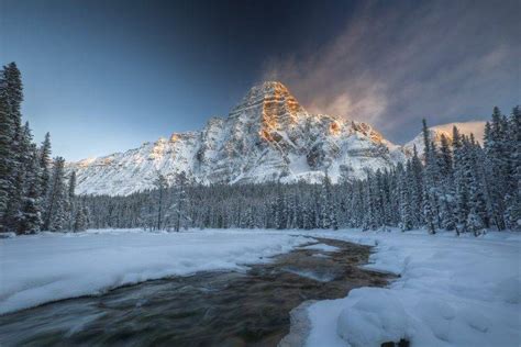 Nature Mountain Snow Winter Water Canada Trees Forest Sunlight