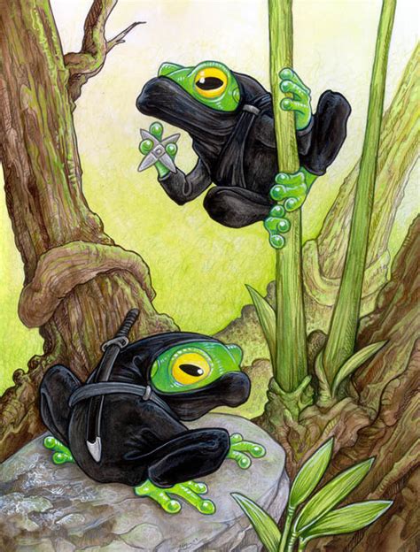Ninja Frogs By Ursulav On Deviantart