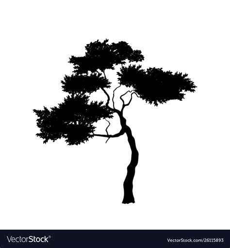 Black Silhouette African Tree Isolated Image Vector Image