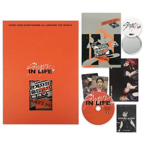 Stray Kids 1st Repackage Album In生 Cd Photobook Photocards