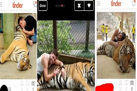 new york state bans people from taking selfies with tigers irish mirror online