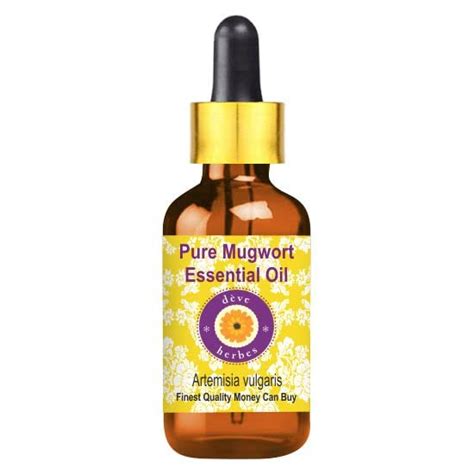 Buy Deve Es Pure Mugwort Essential Oil Artemisia Vulgaris Natural