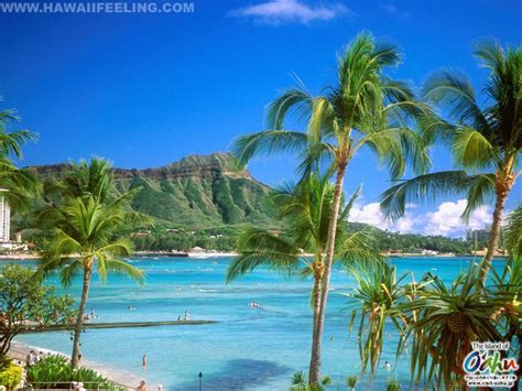 Free Download Hawaii Beach Desktop Background Zoom Wallpapers 1504x896