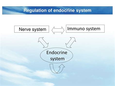 Ppt Basic Mechanism Of Endocrine Disorders Powerpoint Presentation