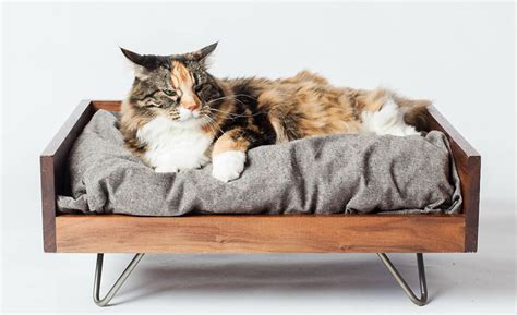 Aliexpress carries wide variety of products, so you can find just what you're looking for. 10 Best Cat Beds (June 2020 Reviews)