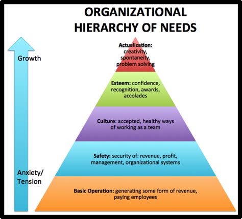 Hierarchy Of An Organisation And The Mind