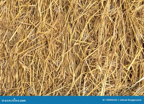 Close Up Of A Dry Grass Straw Harvest Hay Background Texture Of