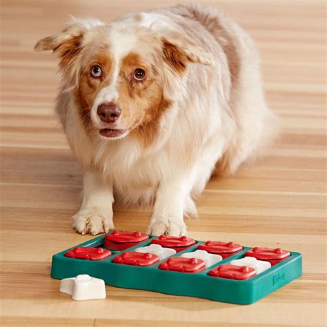 Nina Ottosson Puzzle Dog Toy - Brick | BaxterBoo
