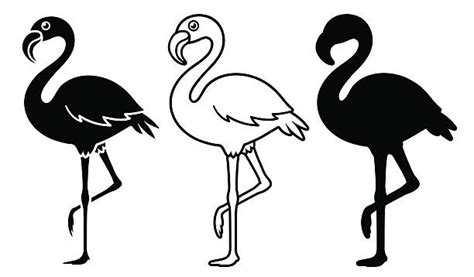 Black Flamingo Illustrations Royalty Free Vector Graphics