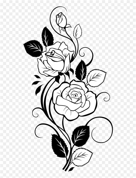 Download Silhouette Rose Vine Clipart Drawing Rose Flower Design