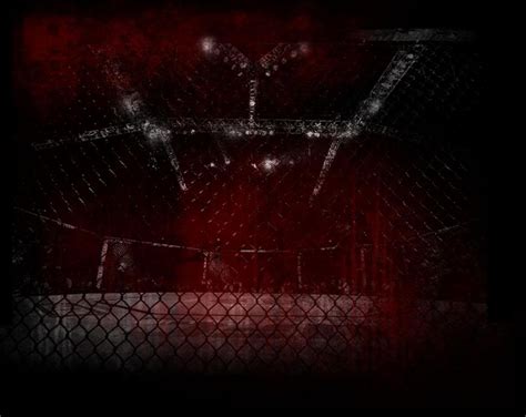 Ufc Cage Wallpapers Wallpaper Cave