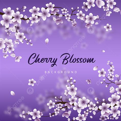 Purple Cherry Blossom Sakura Floral Background Wallpaper Purple
