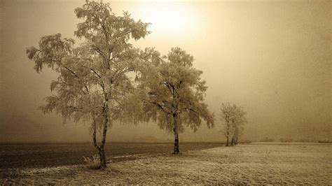 Sepia Hd Wallpapers Backgrounds