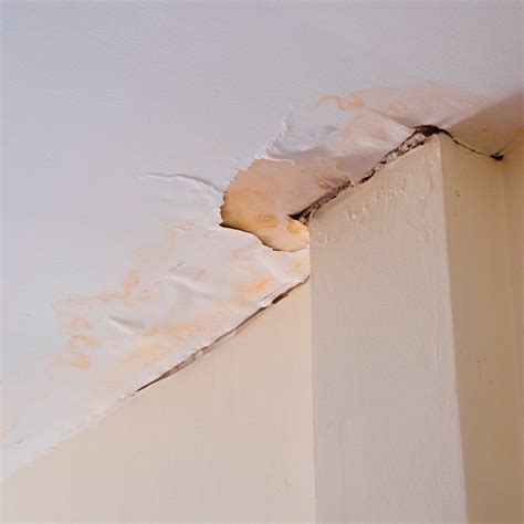 Either of these two materials ought to be replaced when water damage has occurred. What to Do When Your Ceiling Has Water Damage | Tongue and ...