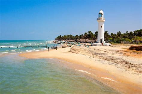Mannar Island Tourism 2024 Sri Lanka Top Places Travel Guide