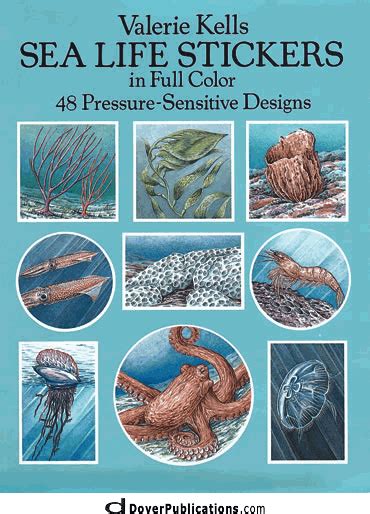 Sea Life Stickers In Full Color 48 Pressure Sensitive Designs Sea