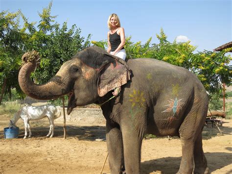 Sexy Woman And An Elephant Elephant Ride Elephant Travel Fun
