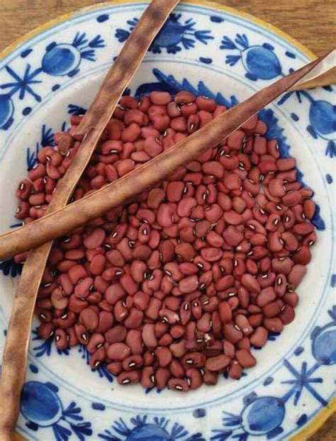 Red Ripper Heirloom Cowpea Seeds Heat Resistant Like Black Etsy
