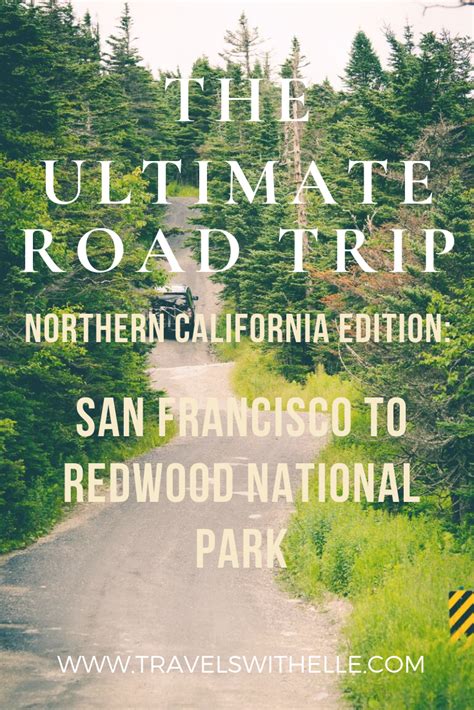 25 Best Northern California Coast Road Trip Stops Redwood National