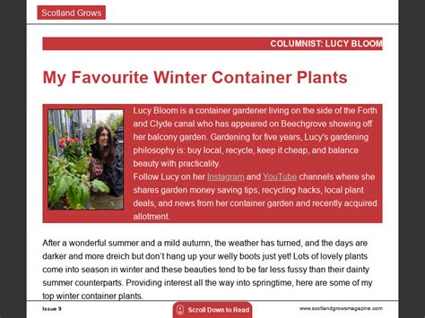 Issue 9my Favourite Winter Container Plants